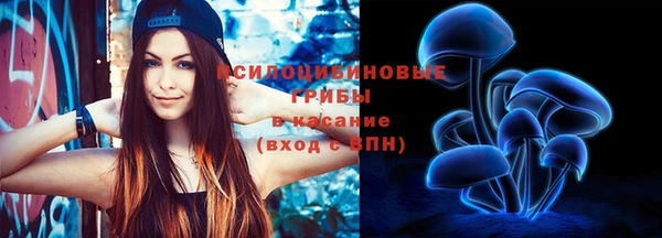 СК Богданович