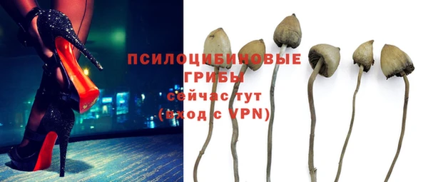 дмт Беломорск
